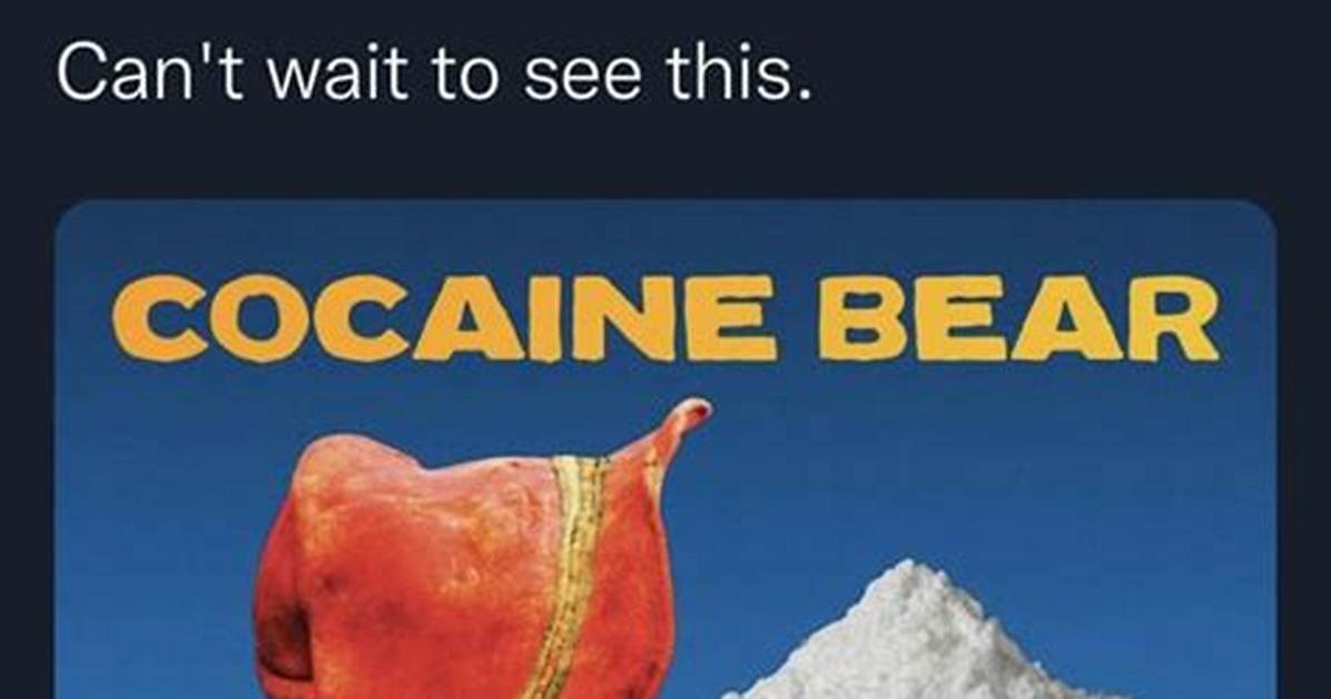 Cocain Bear: the Meme That Took the Internet by Storm
