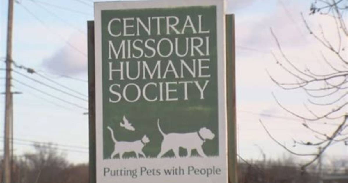 Discover Central Missouri Humane Society's Heartfelt Mission