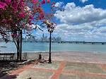 Discover the Heart of Panama City: Las Catalinas Mall