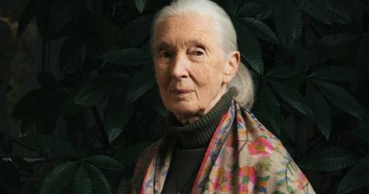 Discovering the Life and Legacy of Gentle Hayes