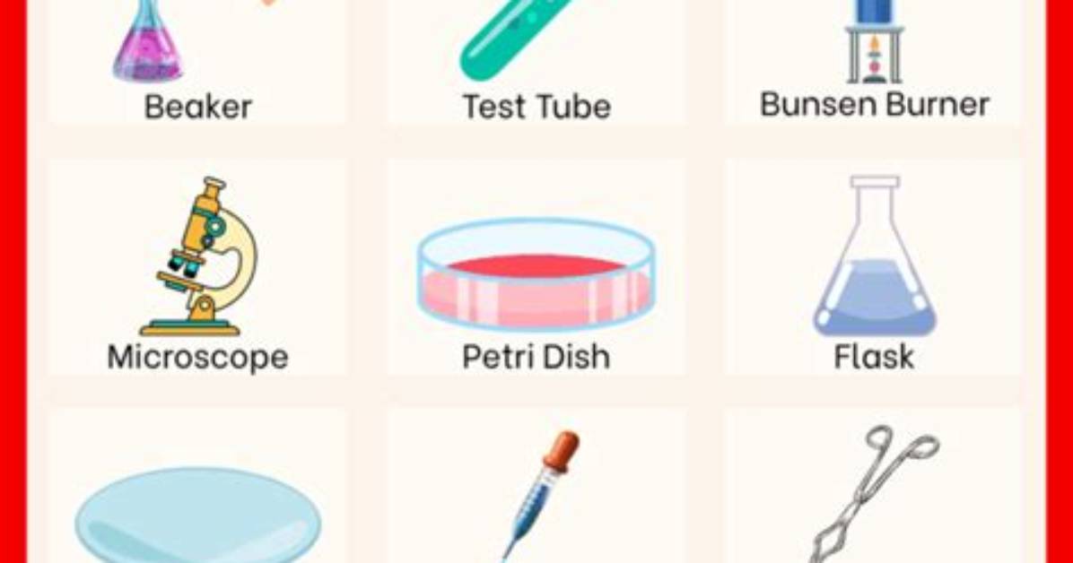Essential Lab Equipment: Names, Images, and Descriptions
