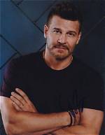Exploring David Boreanaz's Ethnic Background: a Deep Dive into His Heritage
