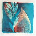 Exploring the Life and Artistry of Tamara Hurwitz