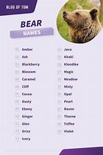Exploring the World of Famous Bear Names
