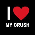 I Heart My Crush: the Sweetest Confessions of Young Love
