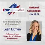 Leah Litman: Legal Scholar Transforming Gender Law