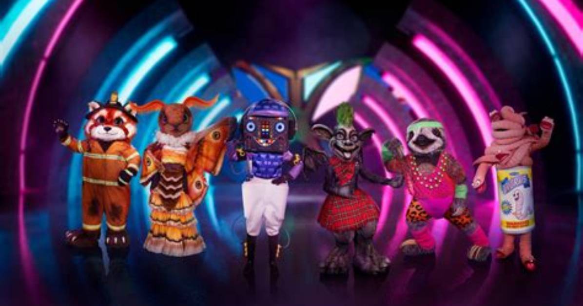 Meet Terry Lynn Ellis as Masked Singer Fans Think Holly Robinsons Bff Is Cobra Thu 28 April |