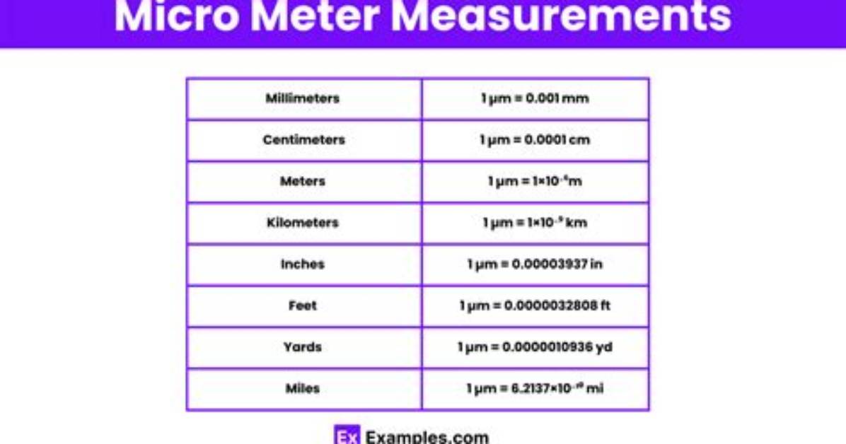 Micrometer Unit Test Java |
