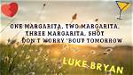 One Margarita Song Lyrics