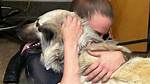 Owner Reunited with Her Dog That Roamed the Atlanta Airport for 3 Weeks ·