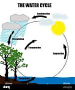 Quierio Agua: the Journey of Water and Its Importance