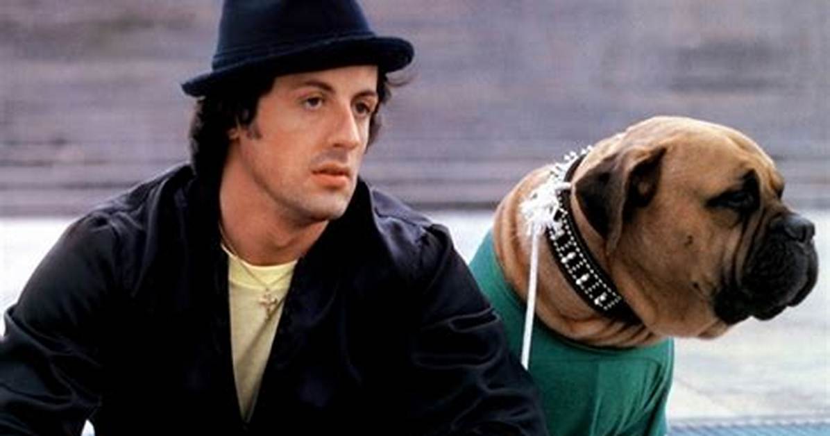 Sylvester Stallone: a Journey Through Stardom and Resilience