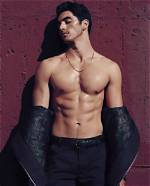 Taylor Zakhar Perez and His Journey to Love