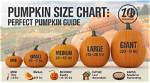 The Ultimate Guide: Pumpkin Pricing Unraveled