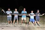 Understanding the 198 Lb Burmese Python: Facts, Care, and Conservation