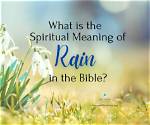 Understanding the Essence of Morning Rain Meaning