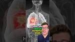 Understanding the Menthol Feeling in Chest: Causes and Effects