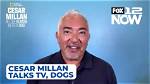 Unlock the Secrets Behind Caesar Millan's Net Worth