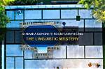Unraveling the Mystery of the Miami Cannibal Attack