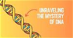 Unraveling the Mystery: the Rocky Canada Dna Test