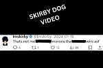 Unraveling the Skirby Dog Incident: a Tale of Canine Chaos