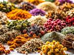 Unveiling the Botanical Delights of Blackstone Herbs and Martini Bar Through Captivating Photos