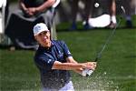 Voxvibe | David Toms (Golfer)
