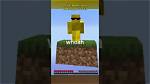 Was Minecraft Player Beesechurger 73 Arrested? Youtuber’s Charges & Instagram Details to Follow