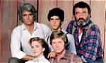 What Happened to Albert on 'Little House on the Prairie'? It's. .. Confusing
