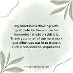 You Were a Wonderful Experience: a Journey Through Memories